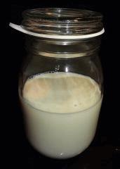 Culture Organique# Sérum de lactobacille T - copie.jpg