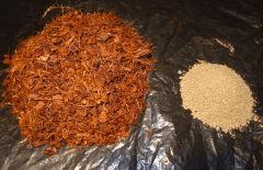 Culture Organique# Coco BAE (Gro Kashi)