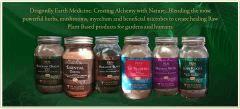 Dragonfly Earth Medicine