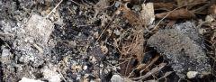Culture Organique# Soil Mix 6