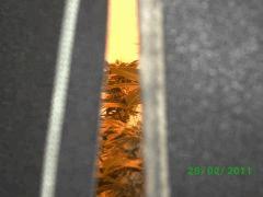 BILD2241