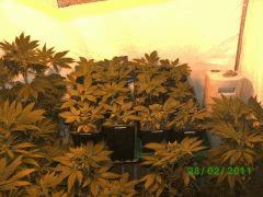 BILD2242