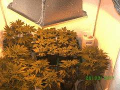 BILD2246