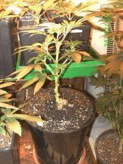 BILD2247