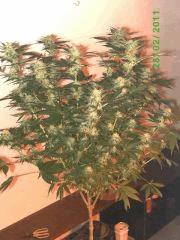 BILD2262