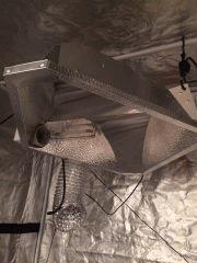 Reflecteur DIAMONDS + Lampe Silvania 600W
