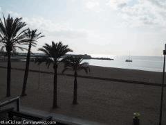 DSCF3419