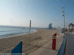 DSCF3415