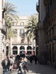 DSCF3405