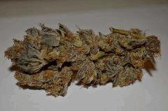 Lemon OG sèche