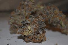 Viper Cookies