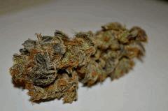 Lemon OG sèche