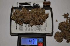 la plus grosse bud de Lemon OG