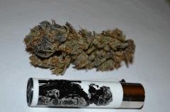 Lemon OG sèche