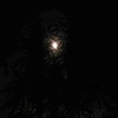 Clair de lune.
