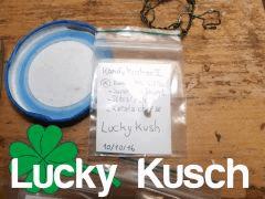 lucky kush 1st seed
