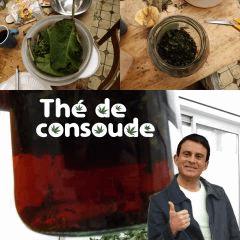 thé De consoude