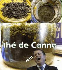 thé / purin cannabis