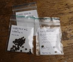 seeds 2016/Nov
