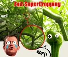 fail supercropping