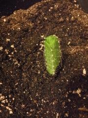20170318 223730