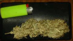 premiere branche coupé