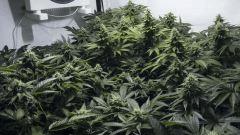 f345