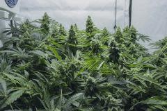 f473