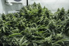 f472