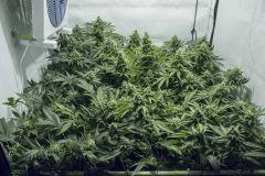 F47