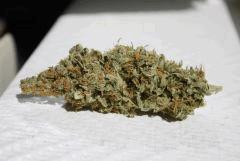 Cream Mandarine
