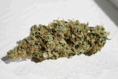 Cream Mandarine