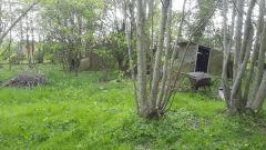 20170424 171618