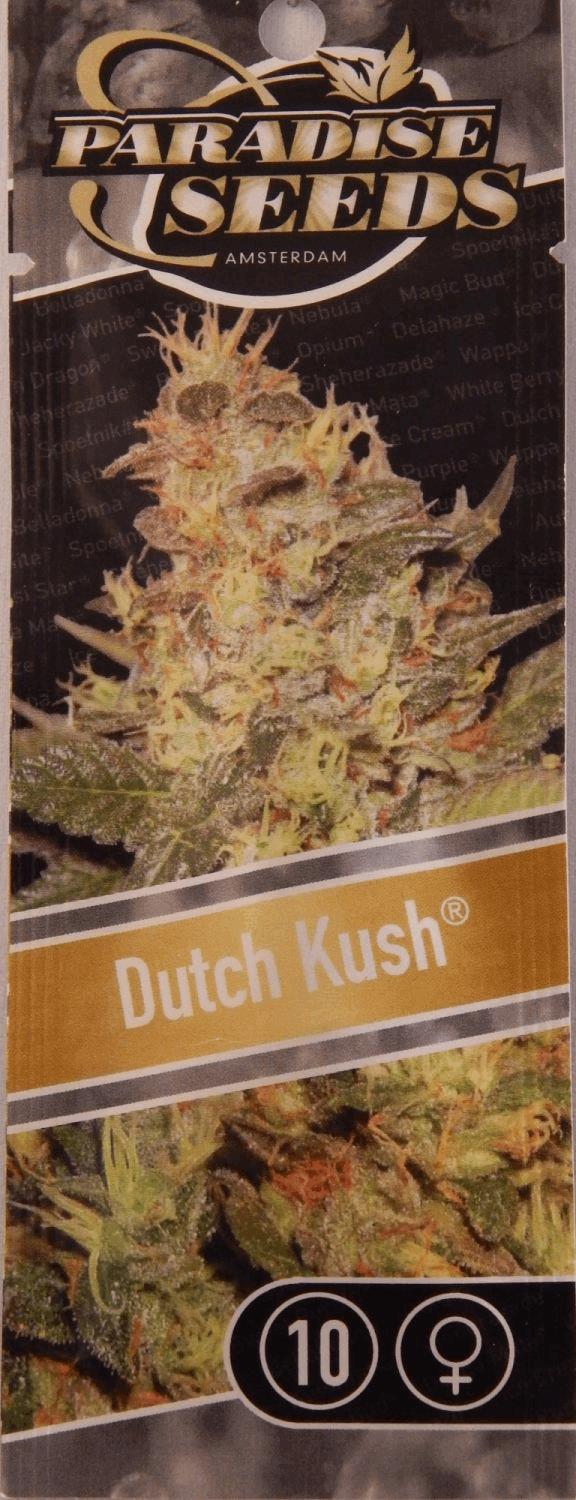 Jdc2 Dutch Kush