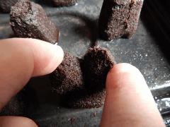 Paradise Seeds Dutch Kush (18)