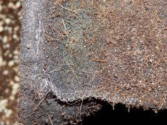 Feltpot (9)