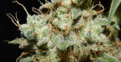 DK photoshoot (21)