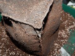 Feltpot (14)