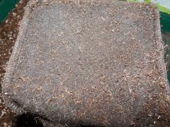 Feltpot (12)