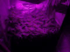 IMG 4498 Min