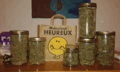 Il n'est pas bien là Mr heureux?
