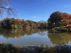 07 central park