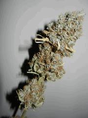 02 la confidential