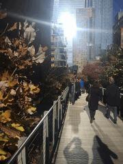 15 high line