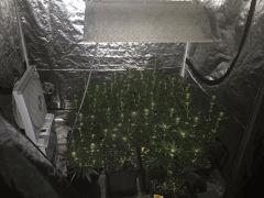 IMG 0164