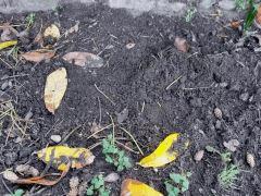 IMG 20160613 184536