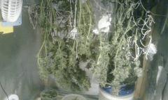 sechage 1