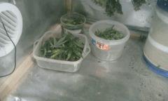 sechage 3