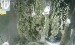 sechage 2