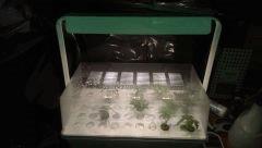 bouturette ikea